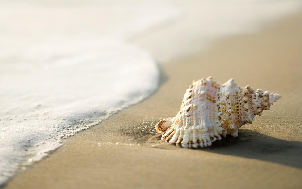 White Shell Beach House Kannúr Kültér fotó